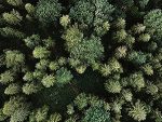 Abri de jardin en bois avec bûcher et plancher traité 4,47 m² portes doubles et fenêtres
