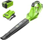 Souffleur sans fil 40 V vitesse variable 150 mph débit 130 CFM batterie 2 Ah chargeur inclus