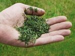 Tondeuse sans fil 36 V 48 cm mulching jusqu’à 1000 m²