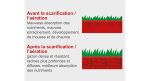 Scarificateur thermique 212 cm3 40 cm bac 40 L